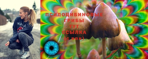 стафф Вязники