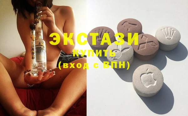 ECSTASY Гусь-Хрустальный