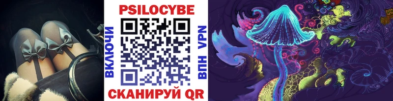 Галлюциногенные грибы Psilocybine cubensis  где можно купить   Ветлуга 